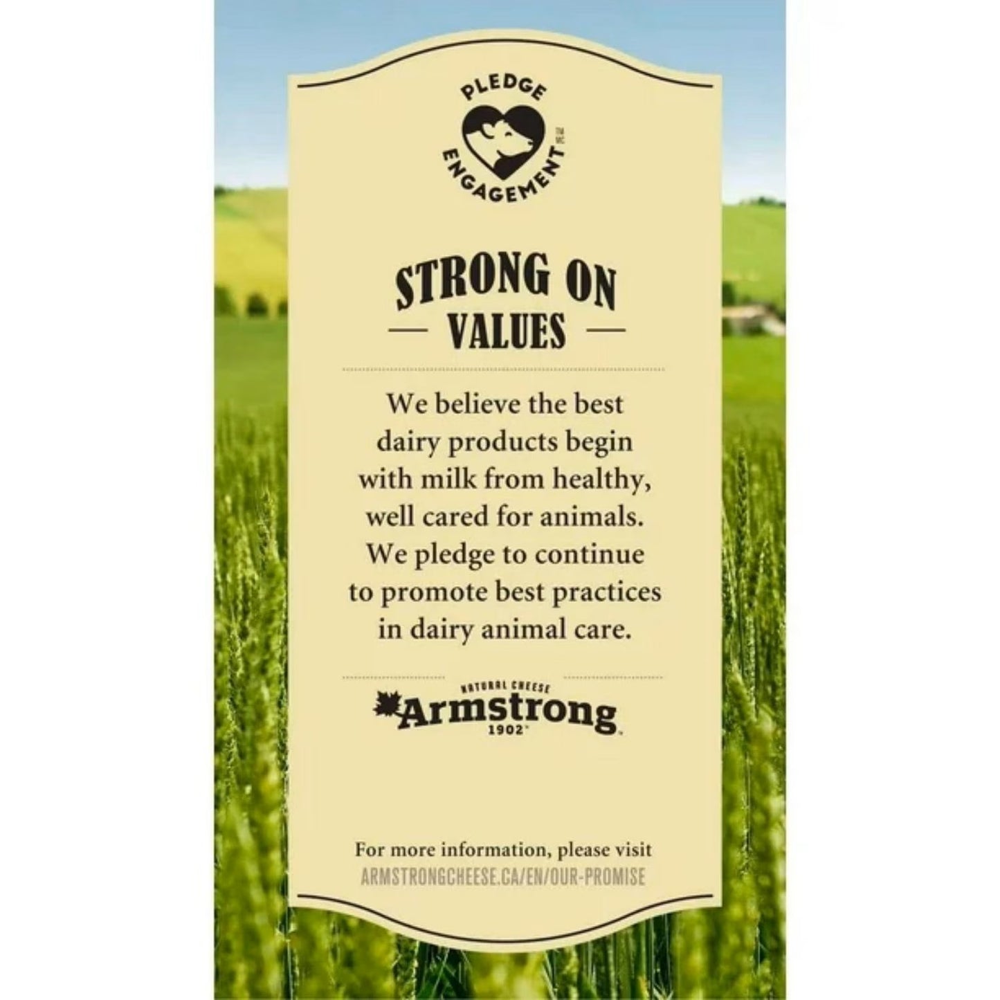 Cheese Stick Armstrong 50x21g Marble Cheddar