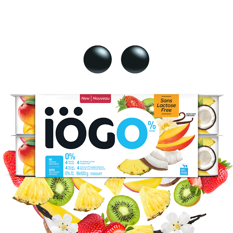 Yogurt Cup Iogo 48x100g Assorted