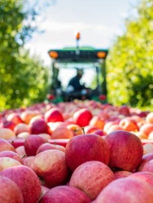 Applesauce 50x90g Apple Strawberry