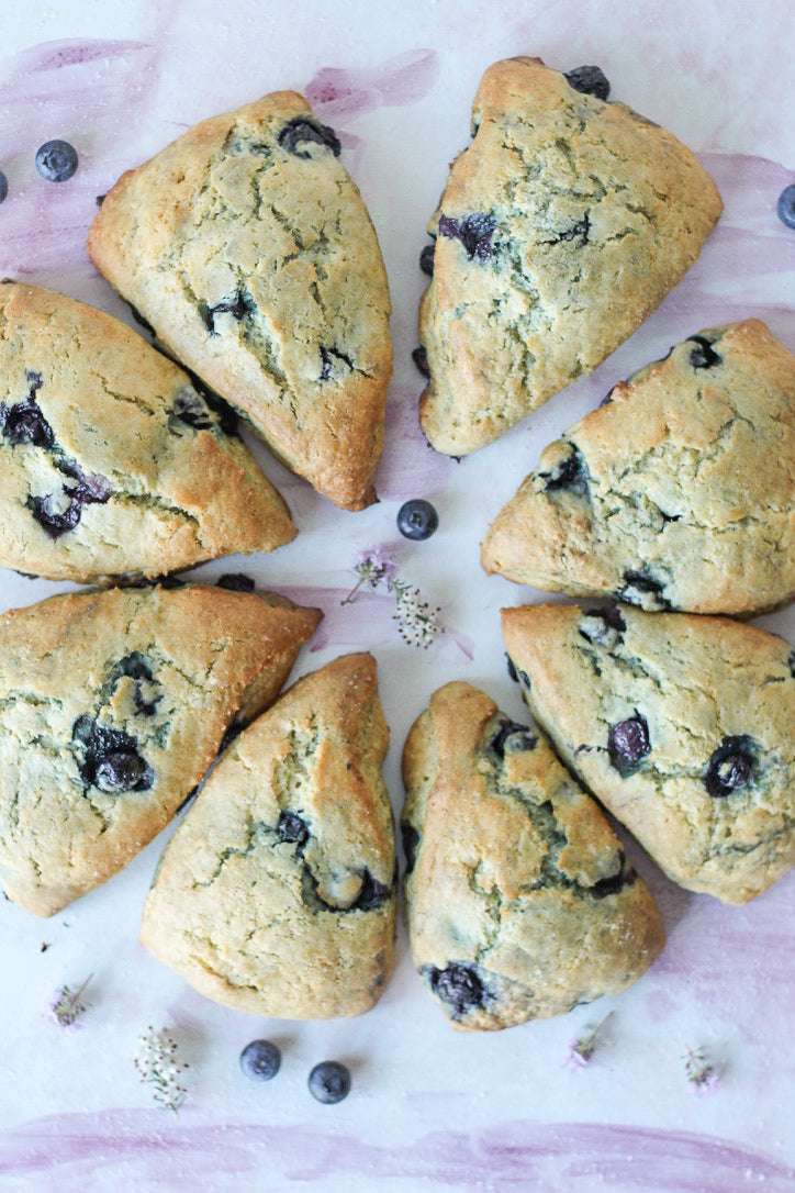 Scone SFTE 64x40g Blueberry