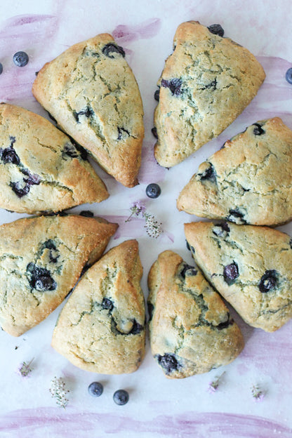 Scone SFTE 64x40g Blueberry