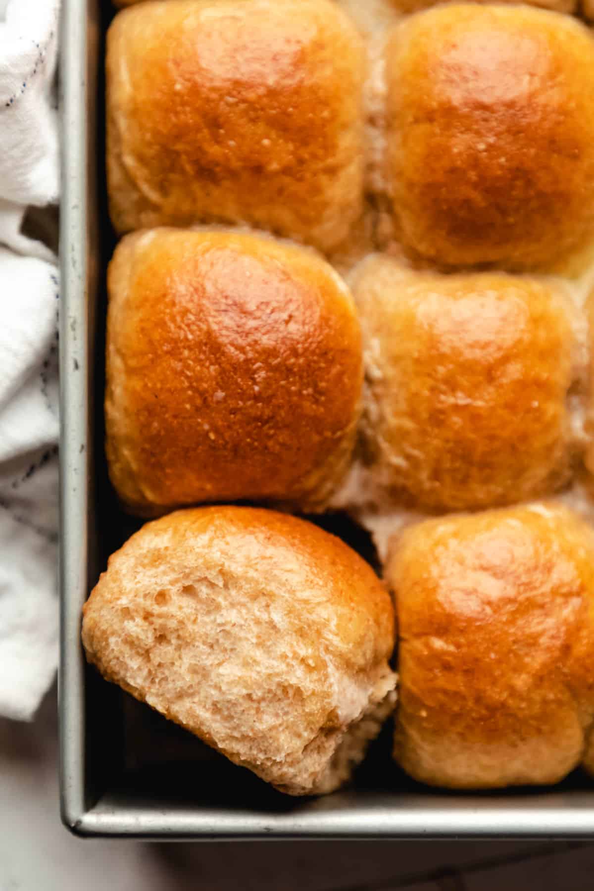 Dinner Roll SFTE 125x30g Whole Wheat