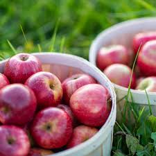 Applesauce 50x90g Apple Strawberry