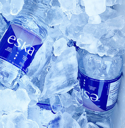 Spring Water Eska 24x500ml Original