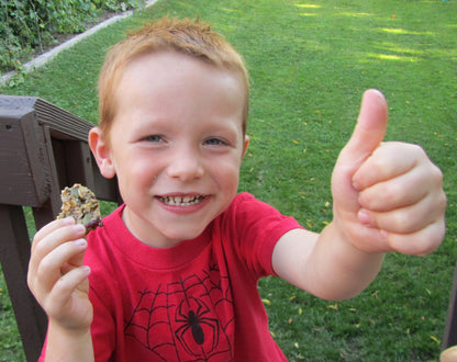 Granola Bar Made Good 63x24g Strawberry