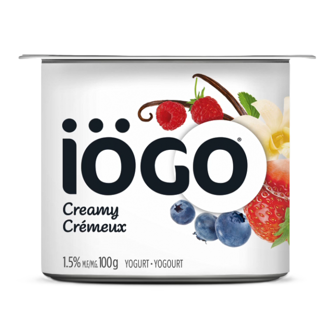 Yogurt Cup Iogo 48x100g Assorted