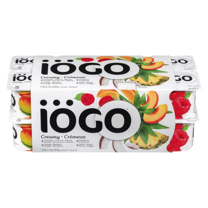 Yogurt Cup Iogo 48x100g Assorted