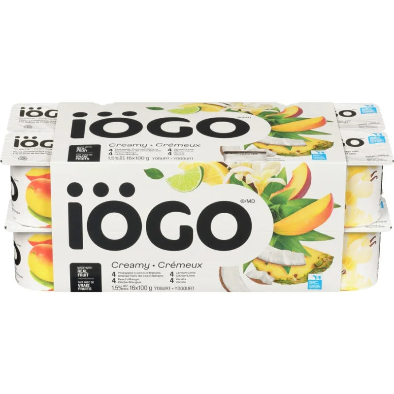 Yogurt Cup Iogo 48x100g Assorted