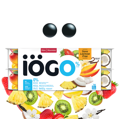 Yogurt Cup Iogo 48x100g Assorted