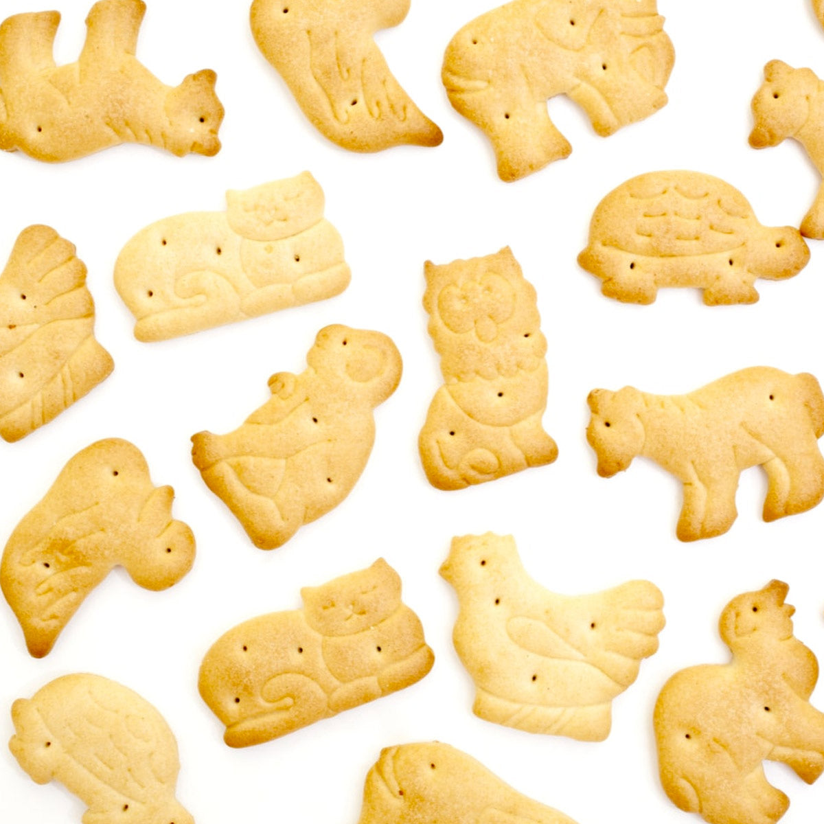 Cracker Jungle Animal 200x28g Whole Grain