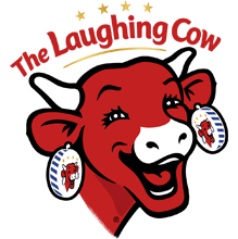 Cheese Laughing Cow Wedges 48x16g Original