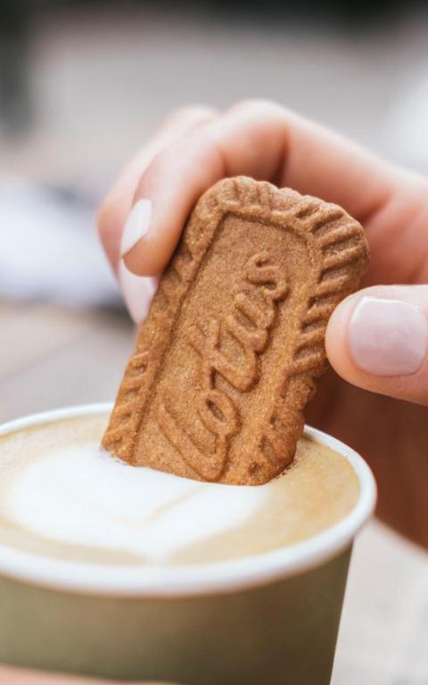 Biscuit Lotus Biscoff 300x2pack Original