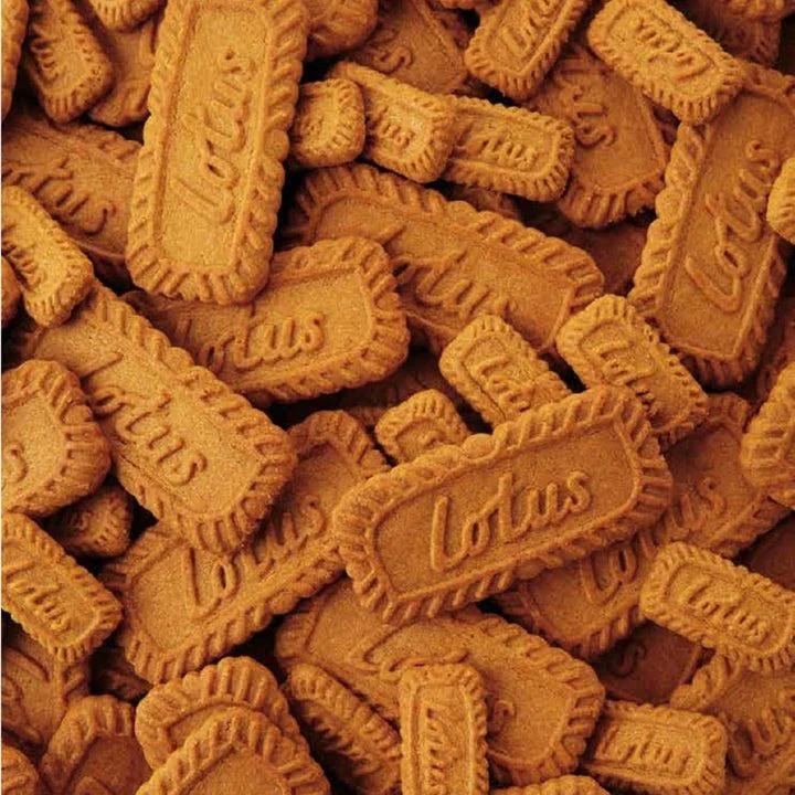 Biscuit Lotus Biscoff 300x2pack Original